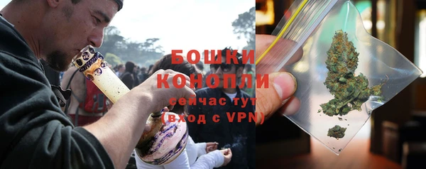 шишки Корсаков