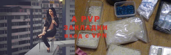 шишки Корсаков
