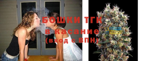шишки Корсаков