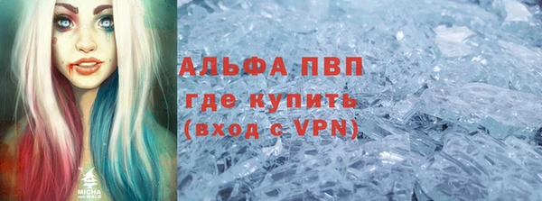 шишки Корсаков