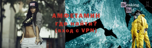 шишки Корсаков