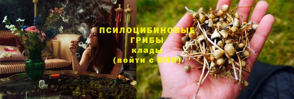 гашик Козельск